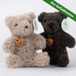 Teddybär mit Anhänger